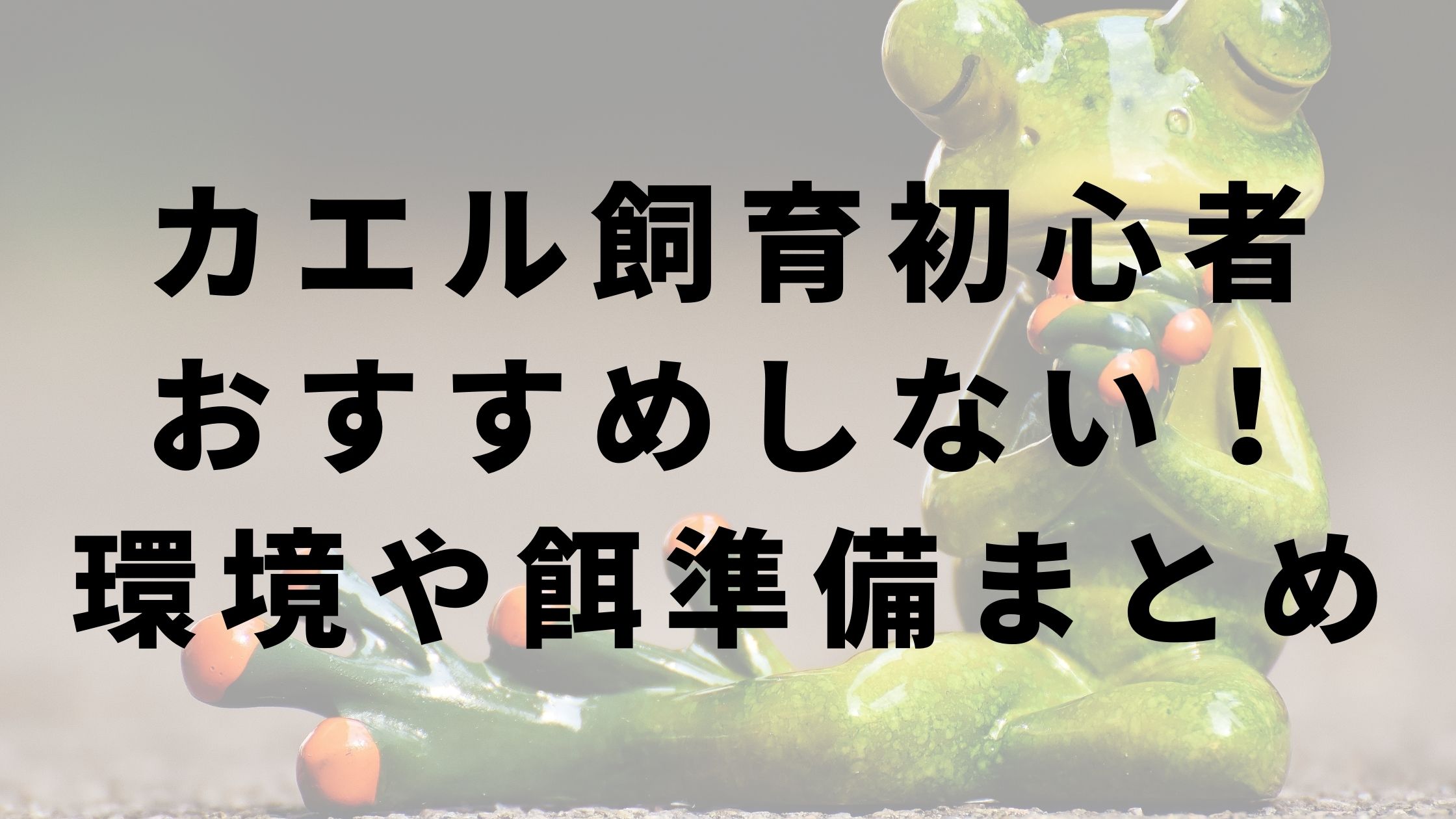 カエル　飼育